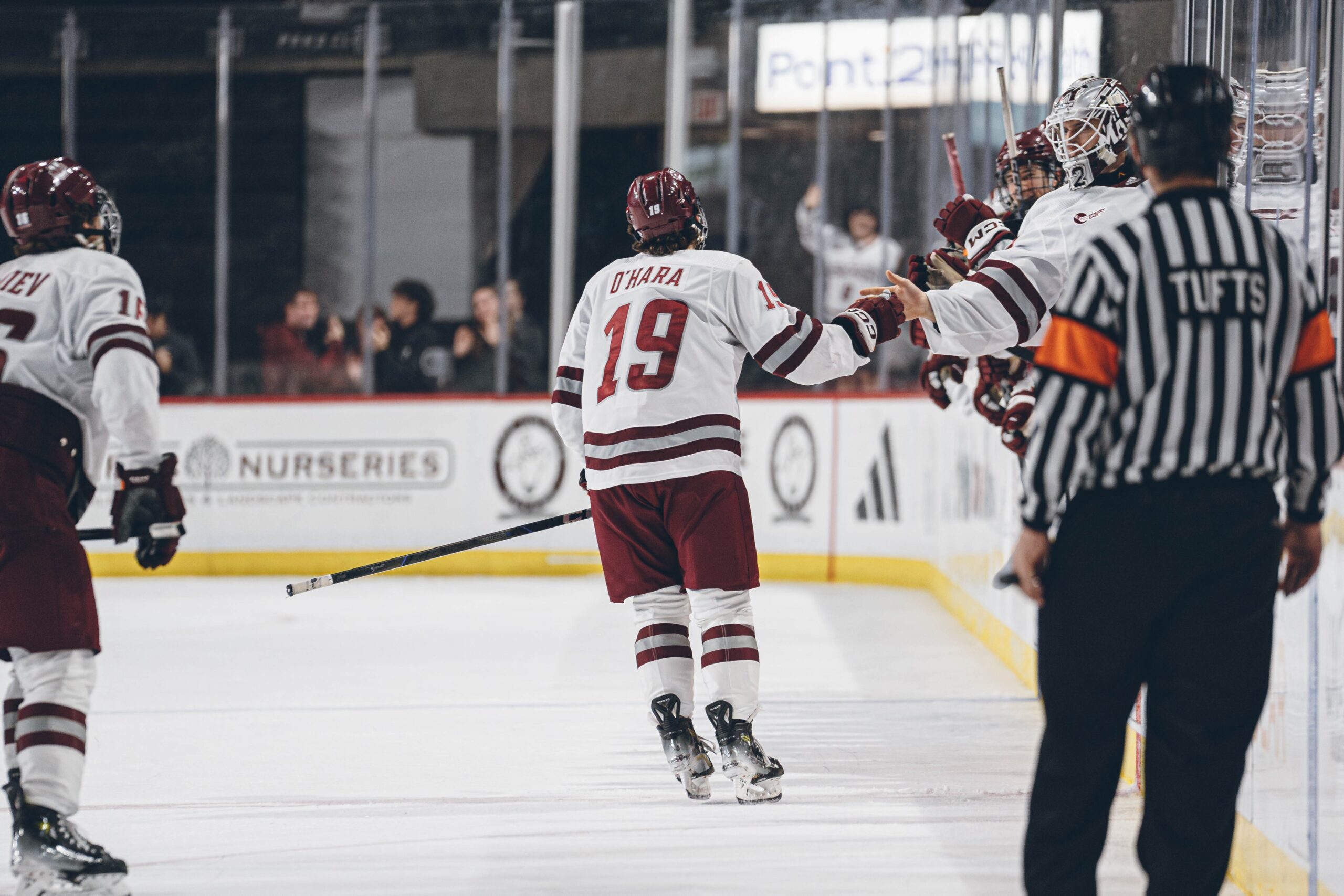 Preds prospect Cole O'Hara celebrates a goal for the UMass Minutemen.